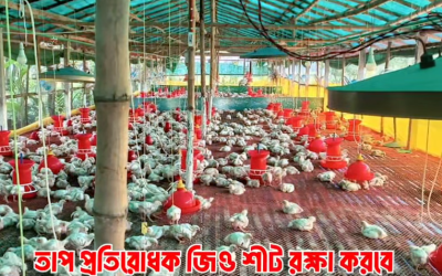 সরাসরি ফ্যাক্টরি থেকে পাইকারী মূল্যে জিও শীট