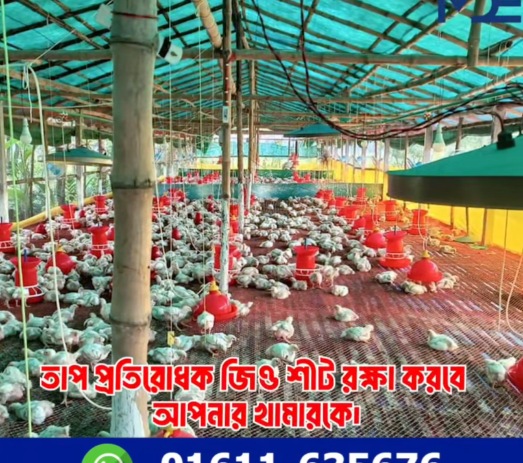সরাসরি ফ্যাক্টরি থেকে পাইকারী মূল্যে জিও শীট
