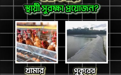 জিও শিট দিয়ে খামারের খরচ বাঁচান